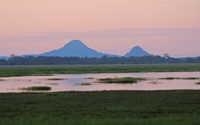 Monte Gorongosa ao entardecer, visto sobre a planície alagada do Parque Nacional de Gorongosa