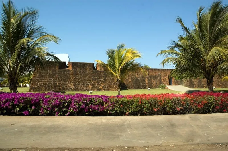 Fortress of Maputo, with bougainvillea in bloom
