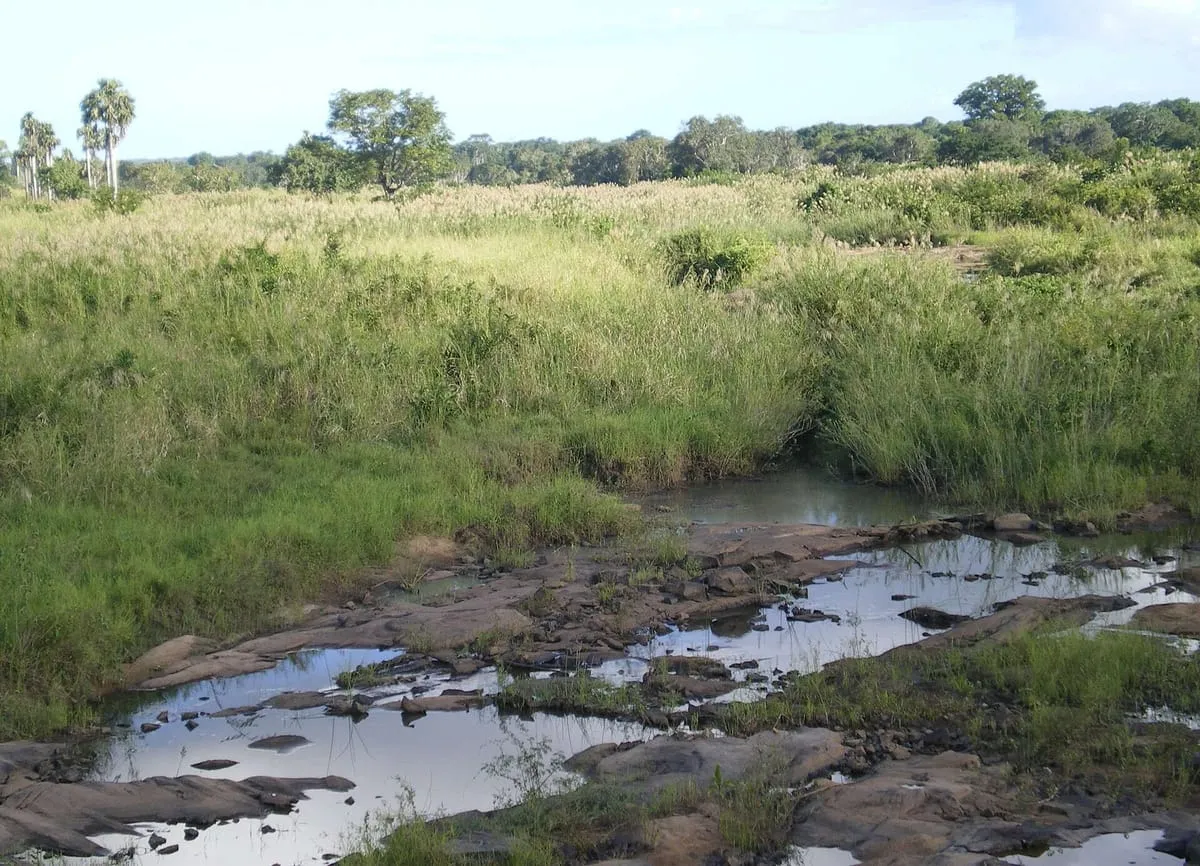 Stream and woodland in the Gilé National Reserve