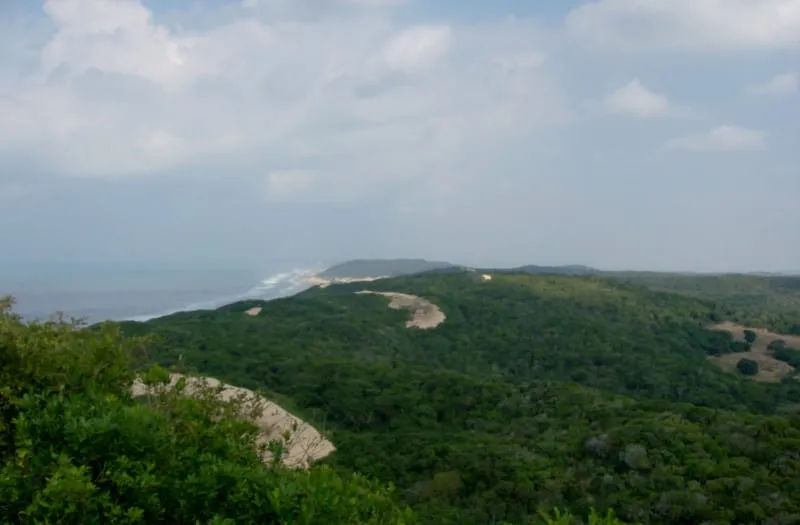Wooded coast of Inhaca Island seen from above