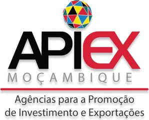 APIEX Moçambique, Agência para a Promoção de Investimento e Exportações